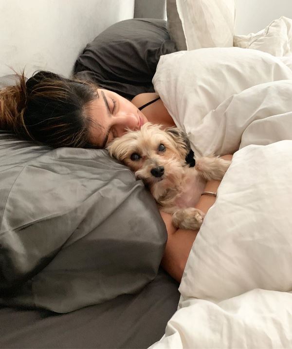 Mia Khalifa Pet