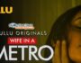 Wife In A Metro (Hindi Web Series) – All Seasons, Episodes & Cast