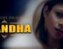 Dhandha (Hindi Web Series) – All Seasons, Episodes & Cast