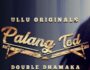 Palang Tod (Double Dhamaka) – Review & Cast