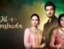 Dil-E-Ghumshuda – (Hindi Web Series) – All Seasons, Episodes, and Cast