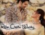 Richa Chadha Wedding: शादी की कॉकटेल पार्टी के लिए तैयार पति अली फजल के साथ नजर आयीं ऋचा चड्ढा