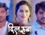 Dilruba – (Hindi Web Series) – All Seasons, Episodes, and Cast