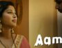 Aamras – (Hindi Web Series) – All Seasons, Episodes, and Cast