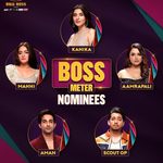 Bigg Boss 20 Boss Meter Nominees