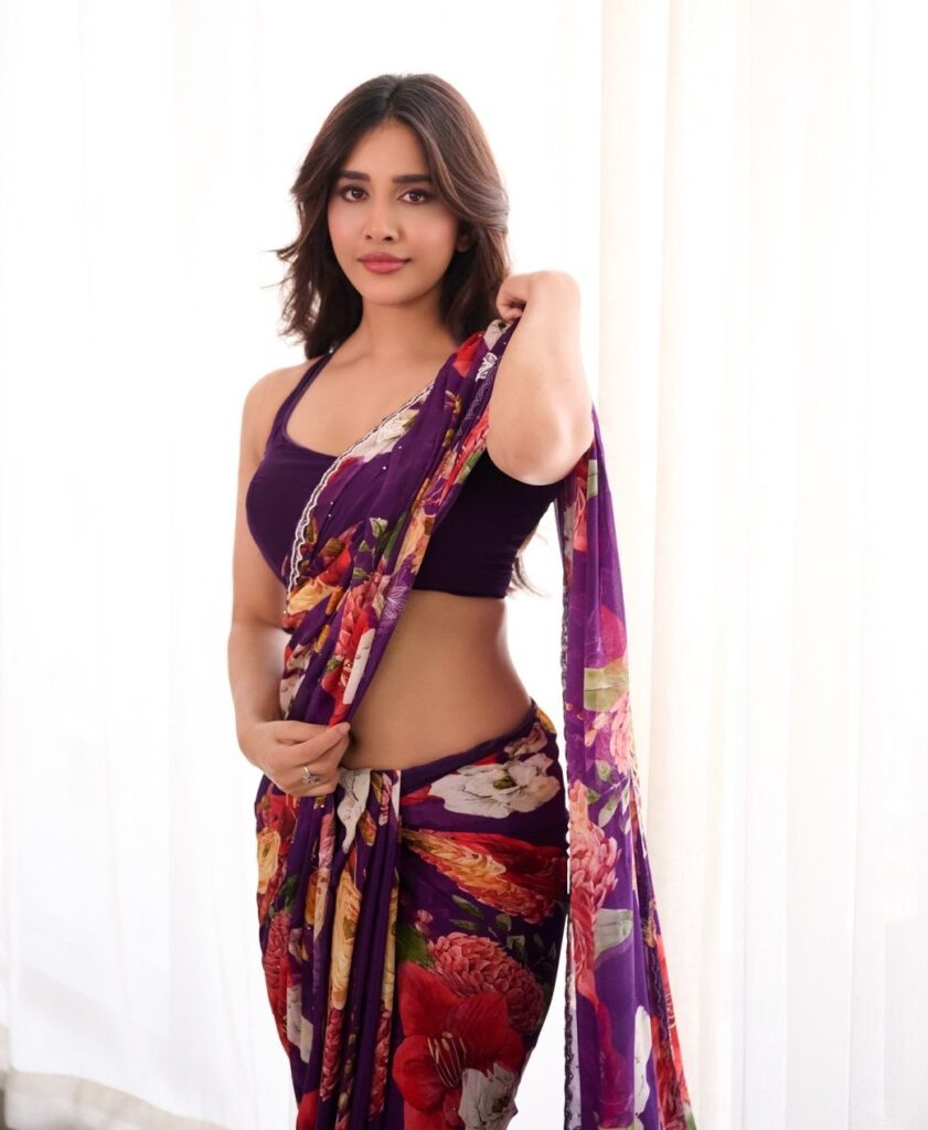 Nabha Natesh