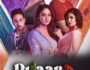 Pyaar Yaa Paap – (Hindi Web Series) – All Seasons, Episodes, and Cast
