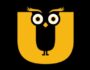 Ullu App Ban, Owner, Income & More